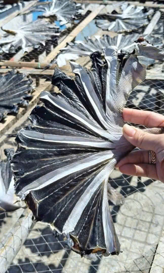 Hắc cấy ( khô cá đuối ó ) 
